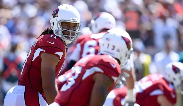 Où Larry Fitzgerald est-il allé à l'université ?