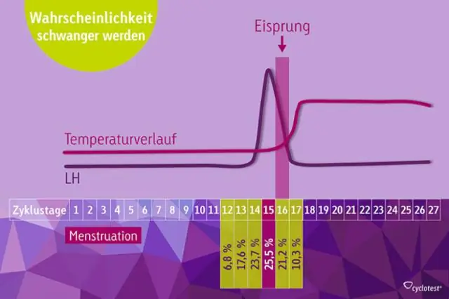 Welchem Zyklus folgt der Wohnungsmarkt?