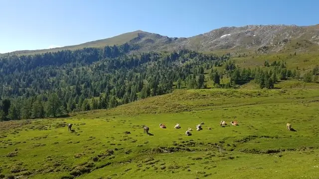 Τι παρήγαγε ο Μεγάλος Συμβιβασμός;