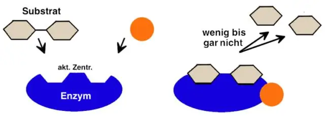 Wie heißt der Teil eines Enzyms, an den ein Substrat bindet?