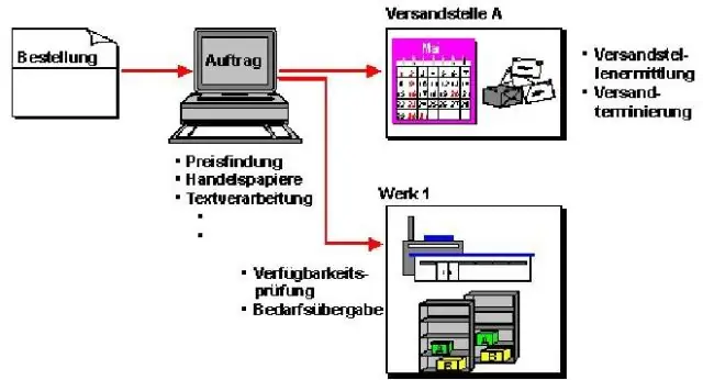 Mikä on kasvi SAP SD:ssä?