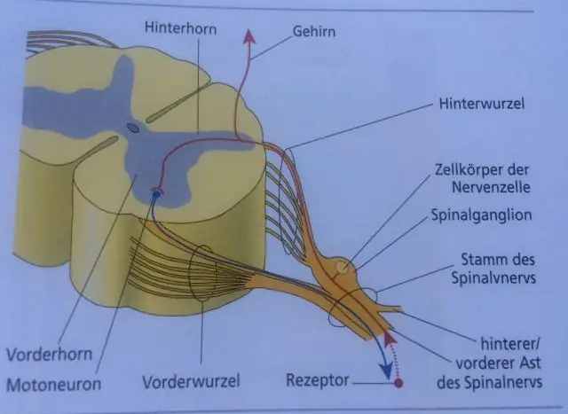 Wat is die verskil tussen RevPAR en ADR?