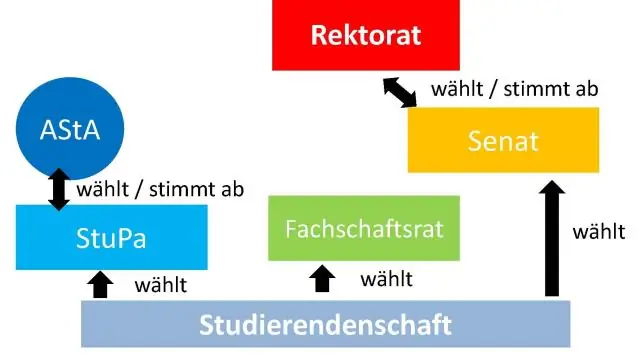 Wat is verbruikerspersepsie -teorie?