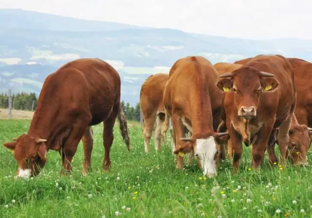 El fem és un bon fertilitzant?