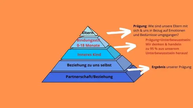 Quali sono i quattro stili di coaching?