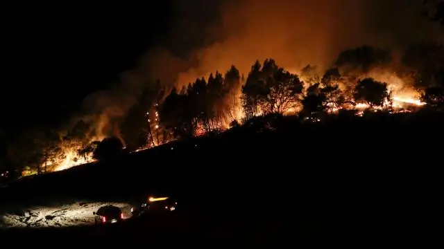 Hvordan reagerer du på forhør i Californien?