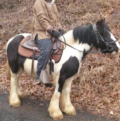 Kan een ponymuur dragend zijn?