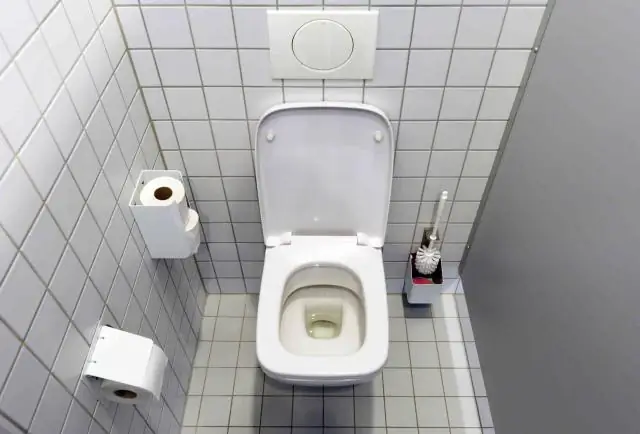 Warum sprudelt meine Toilette septisch?