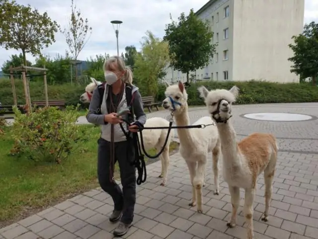 Ketkä olivat Charlie Gordonin ystäviä?