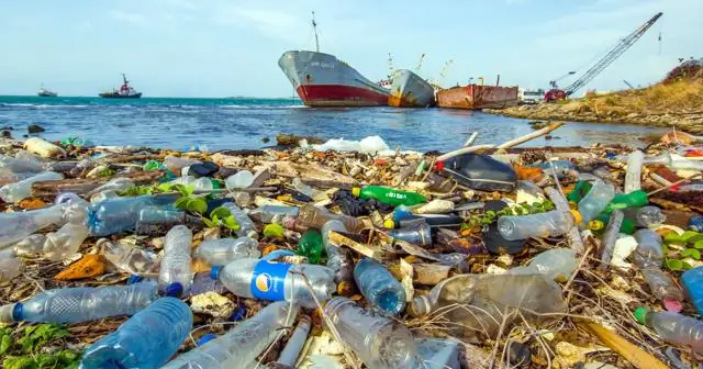 Qual é o significado de poluição ambiental?