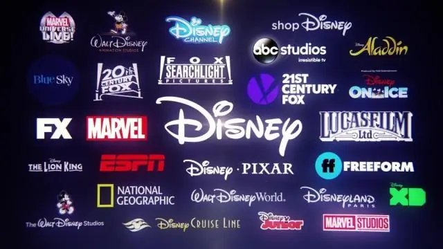 Kokio dydžio yra „Disney Corporation“?