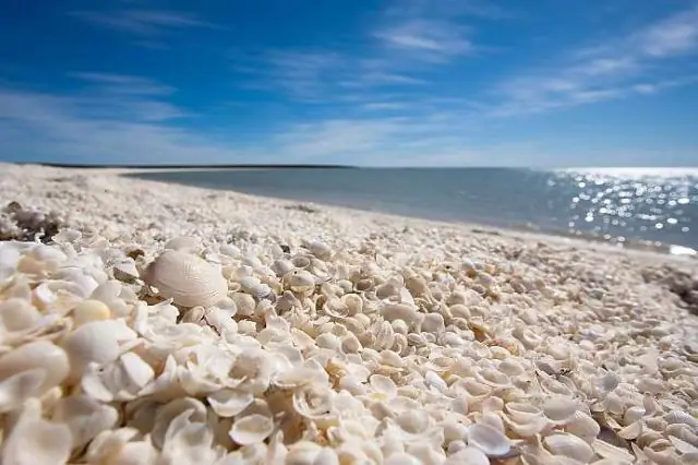 Koliko dugo ste u rezervi kao Delta stjuardesa?