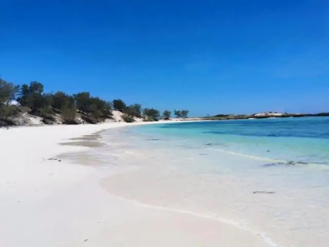 Amb quina antelació he d'arribar a l'aeroport per fer un vol nacional sud-oest?