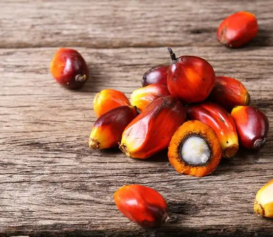 Paano mo pinoproseso ang palm oil?