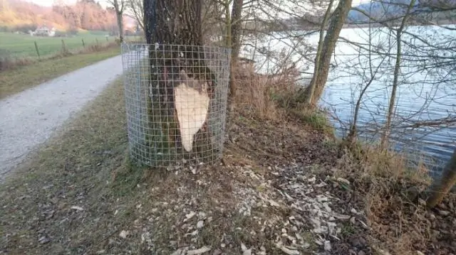 Har du brug for jordstænger, hvis du har en Ufer -jord?