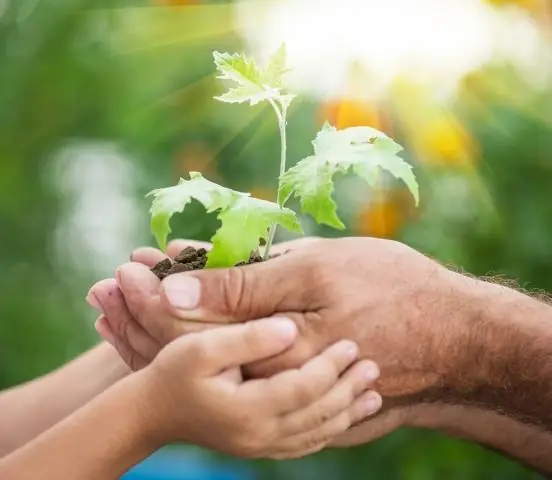 Làm thế nào chúng ta có thể làm cho môi trường thân thiện với môi trường?