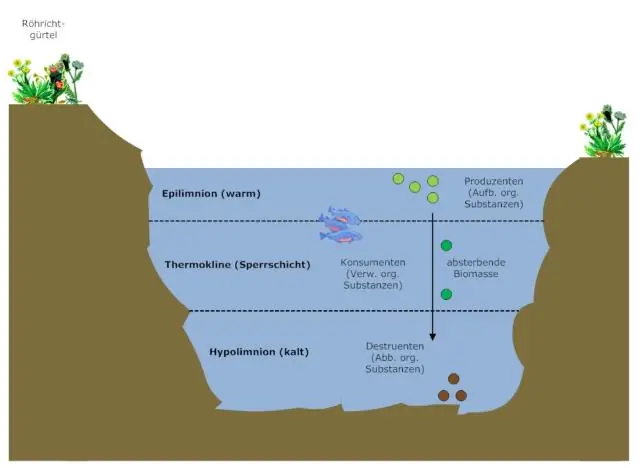 Kaj je diagram poteka v geografiji?