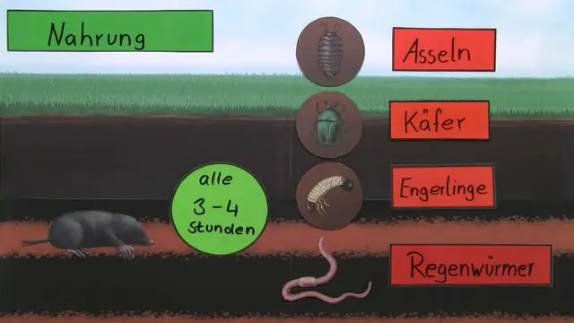 Hvordan kontrollerer jeg en mæglerlicens?