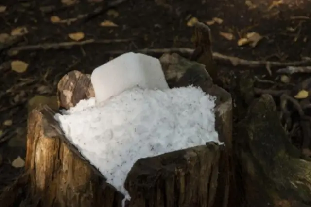 Il sale da tavola marcisce un ceppo d'albero?