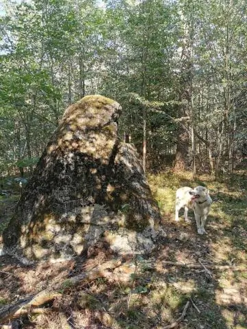 Koks buvo dalinio auginimo ir nuomininko ūkininkavimo tikslas?