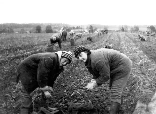 Koje su bile glavne kulturne promjene 1930-ih?