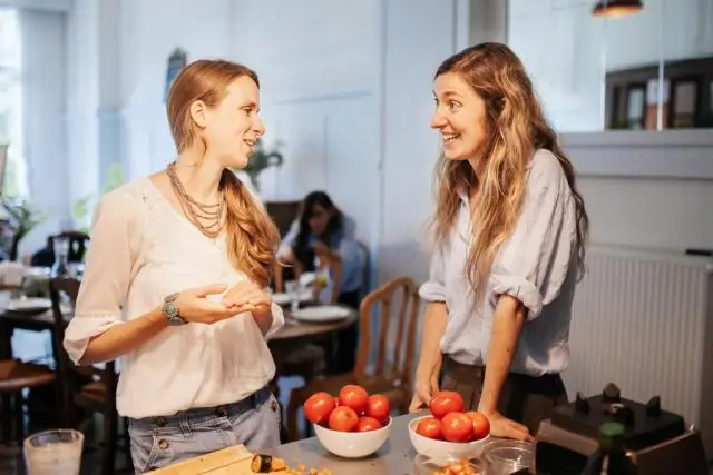 Kan jeg bruge min Vitamix i stedet for en foodprocessor?