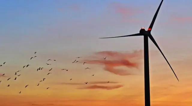 As tarifas fixas de energia são uma boa ideia?