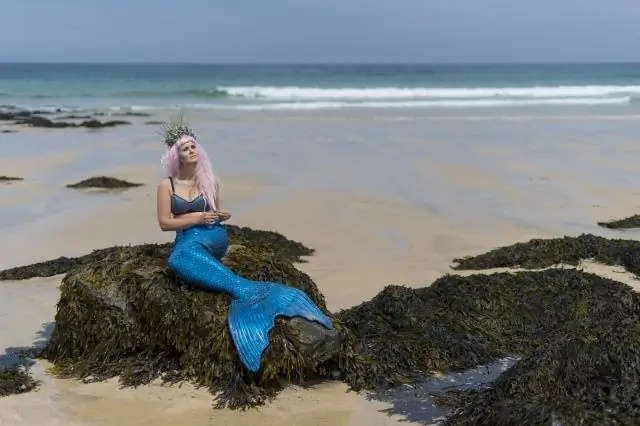 San-Fransisko nə vaxt plastik su qablarını qadağan etdi?