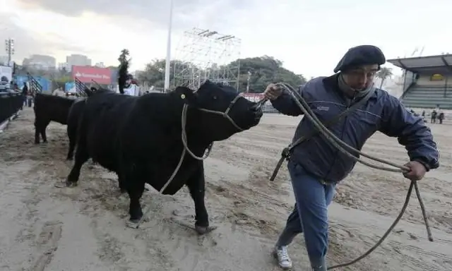 Magkano ang binabayaran ng mga rancher para sa mga karapatan sa pagpapastol?