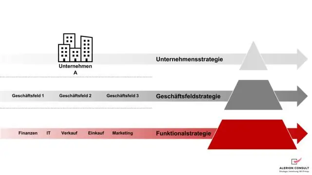 Mis on strateegiline äriüksuse struktuur?