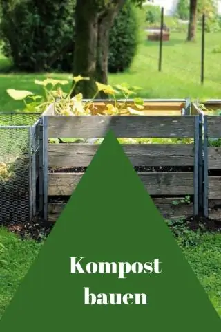 Perché dovrei usare il compost senza torba?