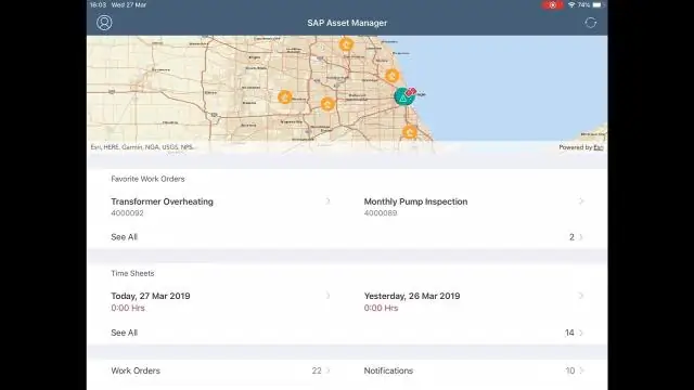 SAP'de bir varlığı nasıl aktarırsınız?