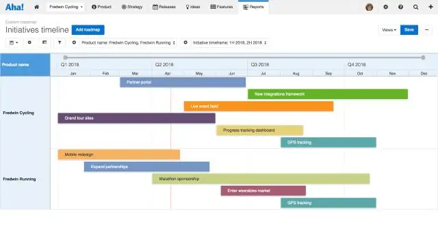 Program yol haritası nedir?