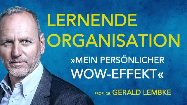 Wat is er nodig voor een organisatie om een effectieve lerende organisatie te zijn?