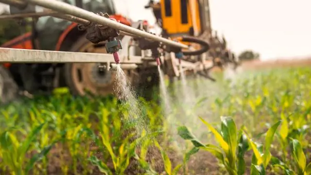 ¿Qué son fertilizantes y pesticidas?