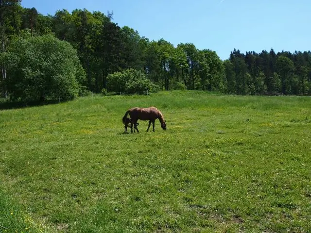 Mitä ovat yksityisomistusoikeudet Yksityisomistusoikeudet ovat?