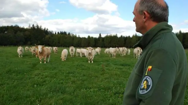 Hoe kan een boer een vrije man worden?