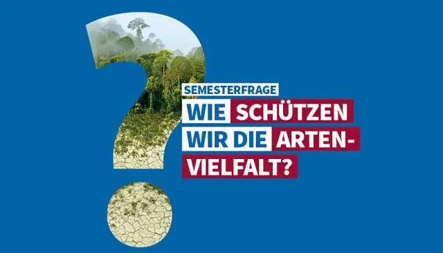 Quali sono le due caratteristiche degli ecosistemi ad alta biodiversità?