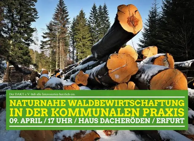 Was sind die Grundsätze der Waldbewirtschaftung?