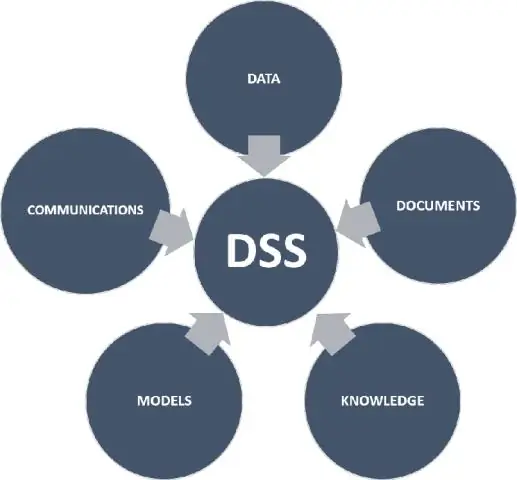 DSS এর প্রধান উপাদান কি কি?