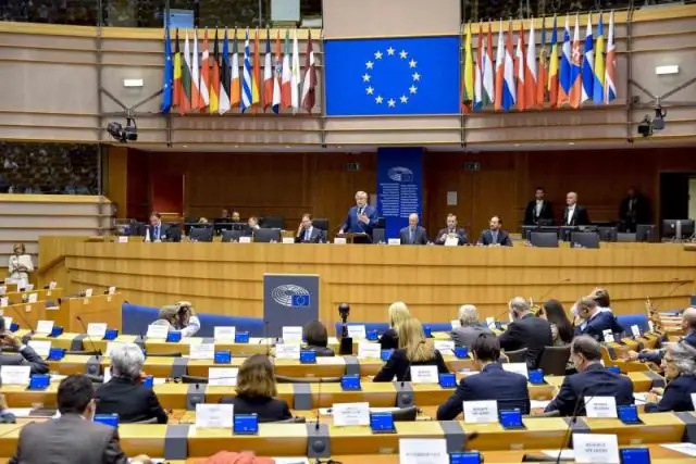 Watter party het die meeste setels in die Europese Parlement?