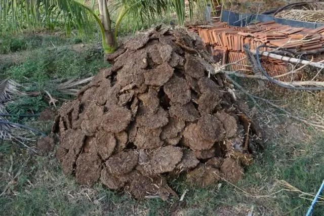 Quais são os fertilizantes orgânicos usados na agricultura?