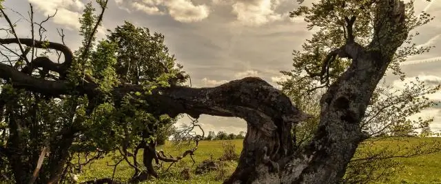 Jak se nazývá práce, kterou děláte na stroji?