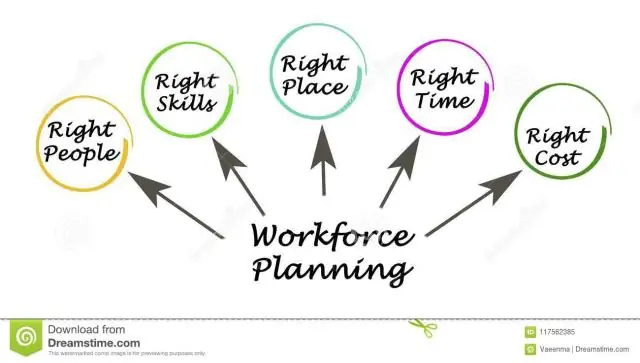 Quelles sont les deux composantes de la planification des ressources humaines?