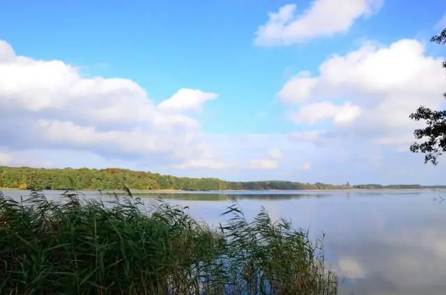 Kas yra stebėjimo sąrašo valdymas?