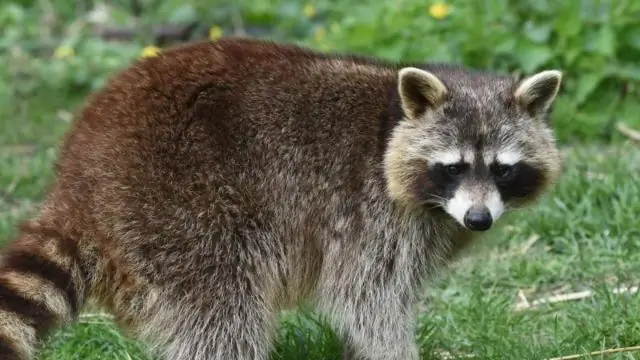 Kas daroma siekiant išvengti vandens taršos?