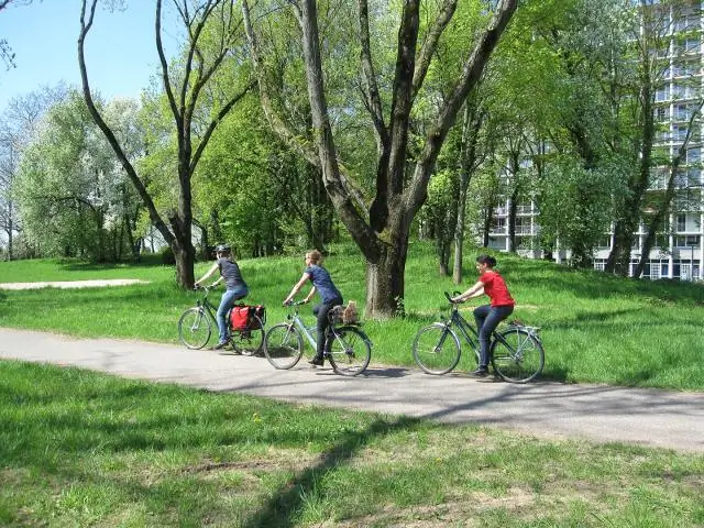 Kako zaščitite avtorske pravice za otroško knjigo?