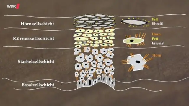 Di cosa è fatto Bondcrete?