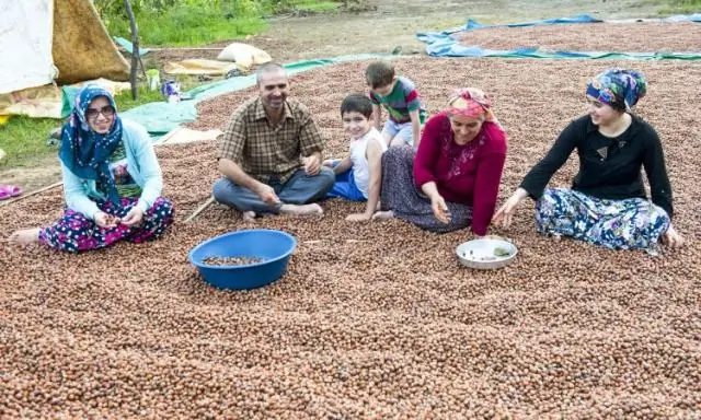 ¿Cómo se crea una cooperativa agrícola?