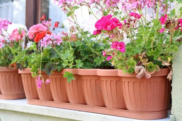 Quelles sont les deux façons dont les plantes se défendent ?